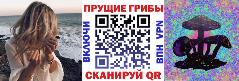 Галлюциногенные грибы мицелий  ссылка на мегу зеркало  Североморск  наркота 